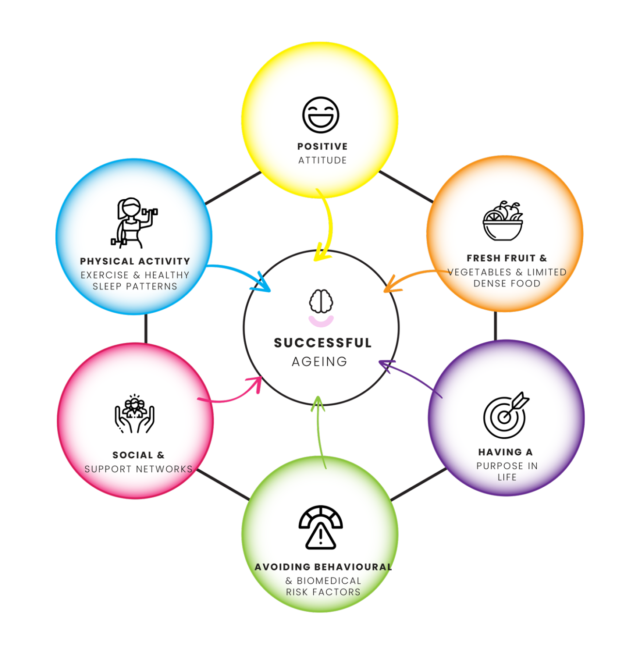 successful-ageing-what-are-the-components-of-successful-ageing