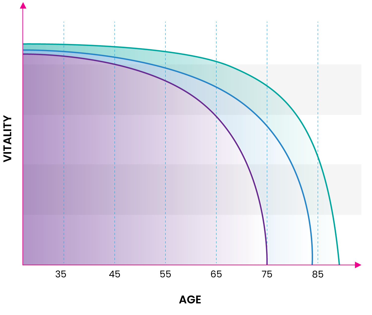 successful-ageing-a-combination-of-three-life-curves-successful